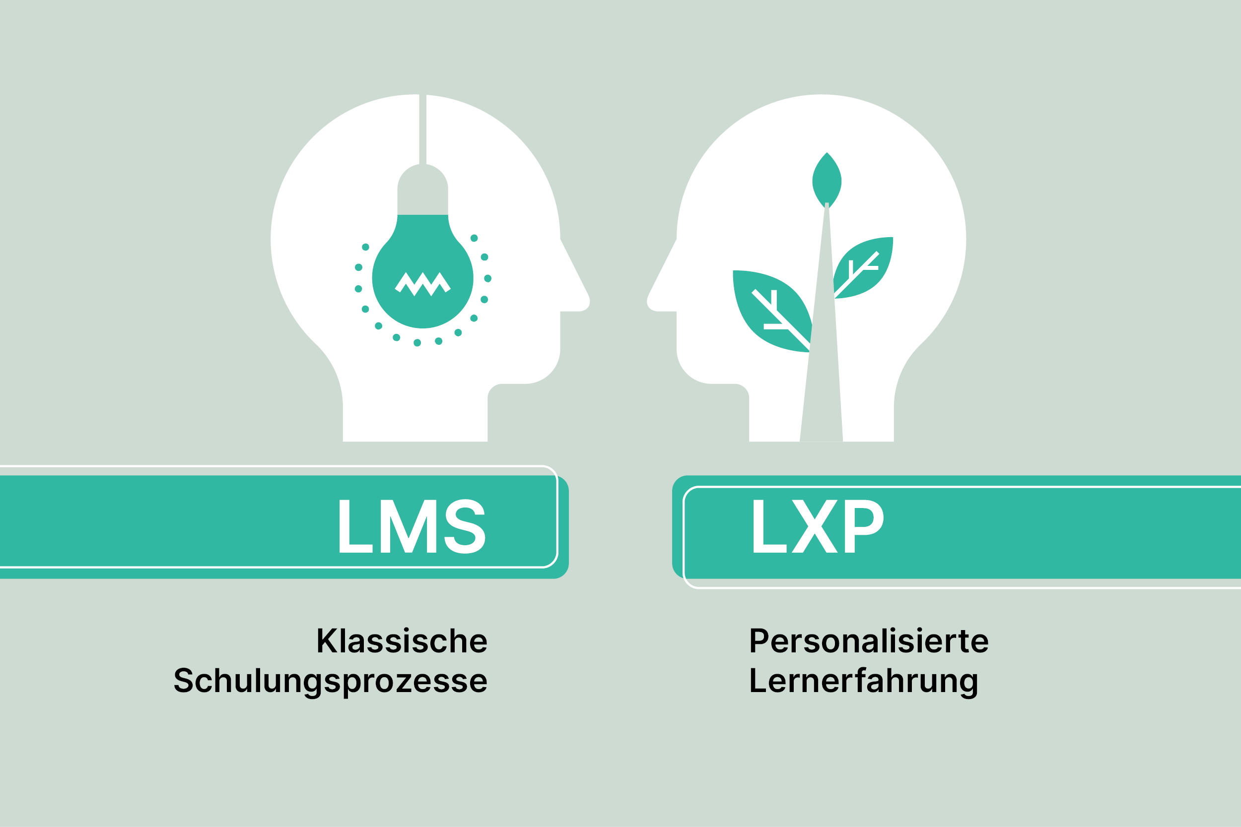 LMS vs LXP - Blog von M.I.T e-Solutions GmbH