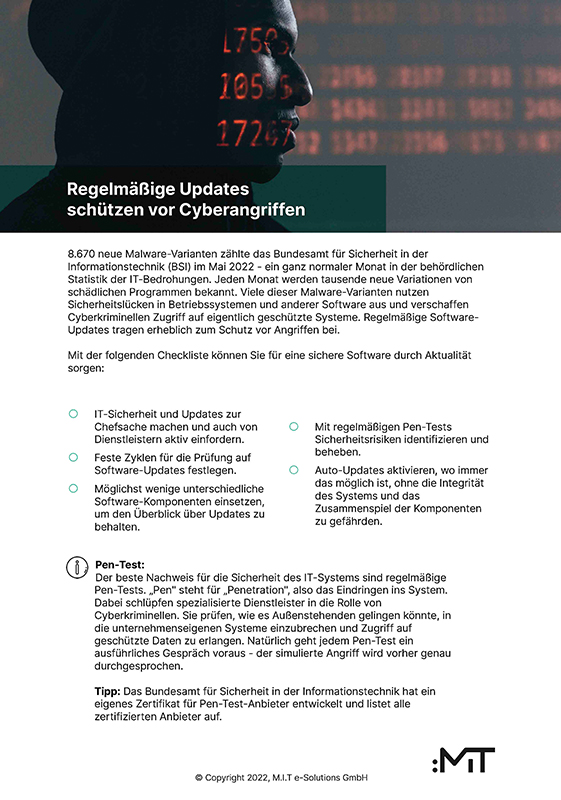Sie sehen eine Vorschau des Merkblattes zur Cyber Sicherheit.